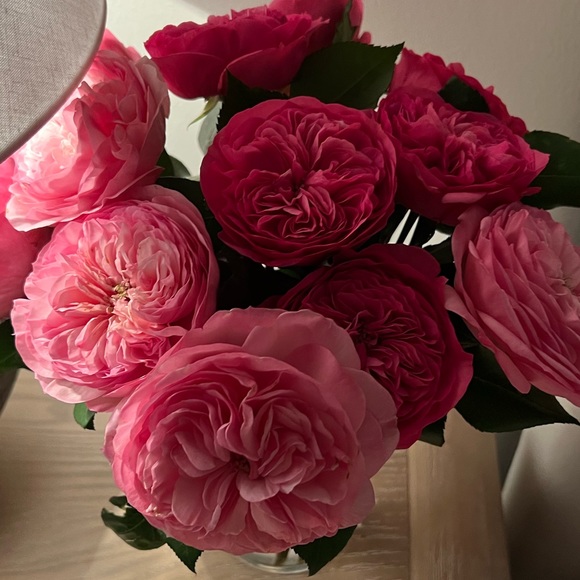 Meet your Posher, Steph - Picture 1 of 1